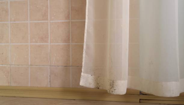 Best Biohazard Mold Removal  in Buckingham, FL