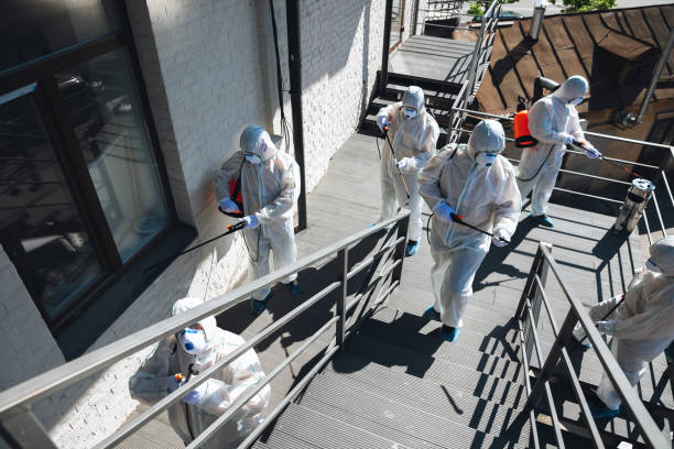Professional Mold Removal in Buckingham, FL